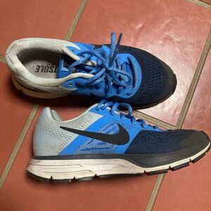 2013 Nike Pegasus sneakers